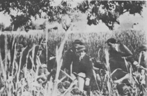 Νοσοκόμοι των Αυστραλιανών δυνάμεων που αναμένουν την αποχώρησή τους από την Ελλάδα
