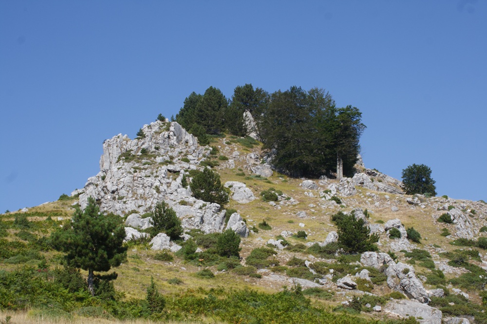 Ύψωμα Σκούρτζα